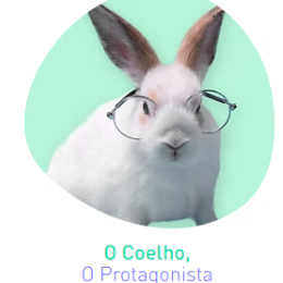 O Coelho, O Protagonista